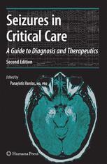 Seizures in Critical Care