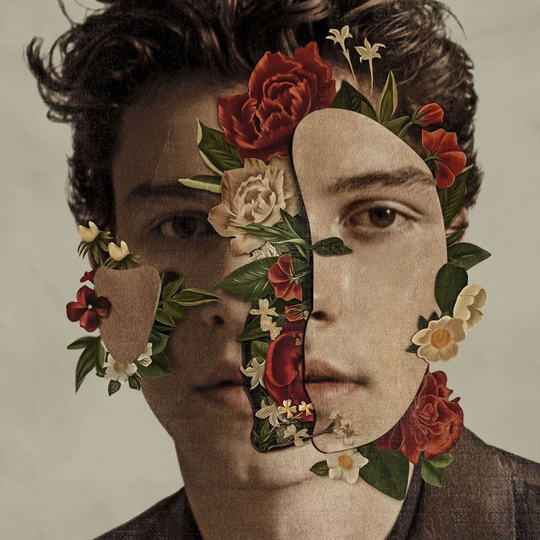 Shawn Mendes [VINYL]