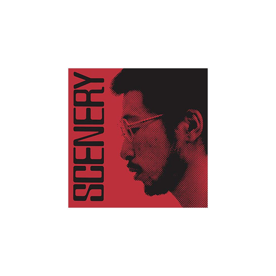 Ryo Fukui - Scenery [VINYL]