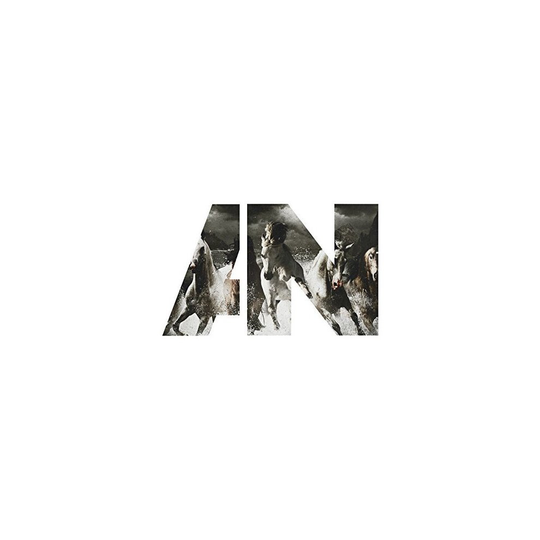 Awolnation - Run [CD]
