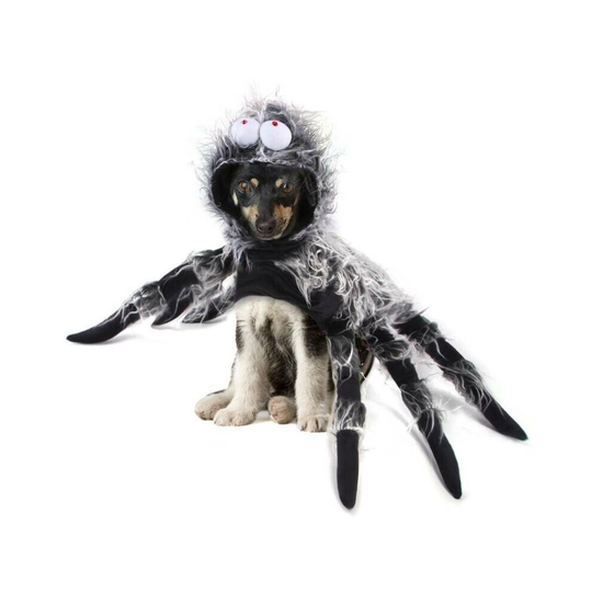 (M) Halloween Pet Dog Spider Clothes Festival Decor Simulation Plush Spider Costume