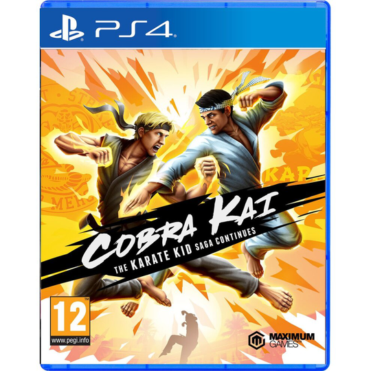 Cobra Kai The Karate Saga Continues PS4 Game