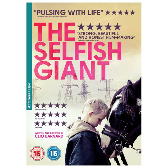 The Selfish Giant (DVD)