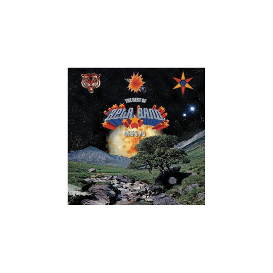 The Best Of The Beta Band - Music - The Beta Band - CD