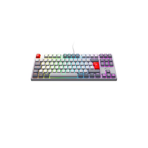 Xtrfy K4 TKL RGB RETRO keyboard USB Gray White