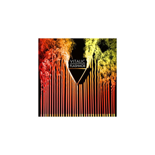 Vitalic - Flashmob [VINYL]
