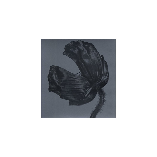 Pet Shop Boys - Release (2017 Remastered Version) [VINYL]