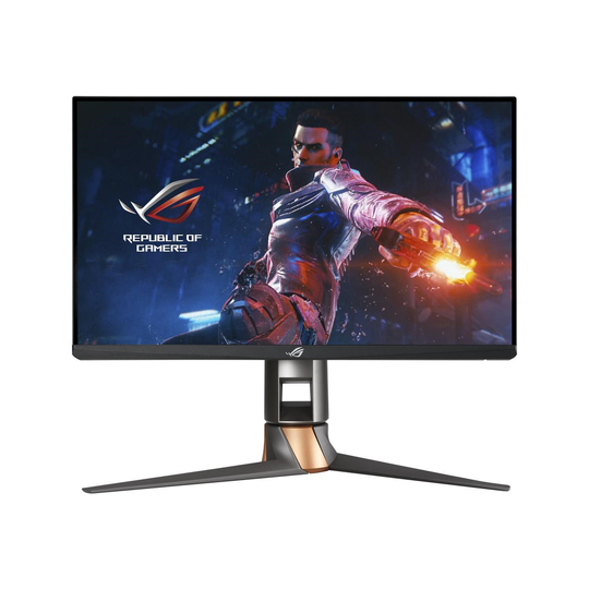 Asus ROG PG259QNR 24.5 IPS Full HD 360Hz Gaming Monitor
