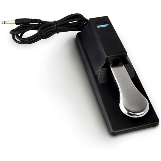 HQRP Universal Sustain Pedal for Casio CTK-2000 CTK-2080 CTK-2100 CTK-2200 CTK-2300 CTK-3000 CTK-3200 CTK-451 CTK-471 CTK-481 Keyboard Footswitch