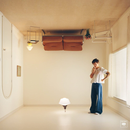 Harry Styles - Harry's House Vinyl