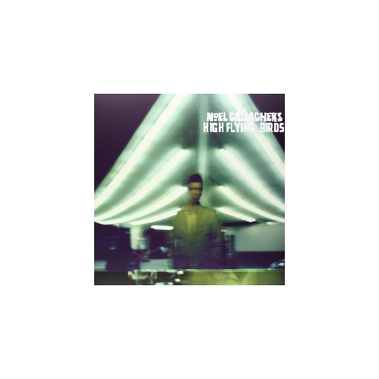 Noel Gallaghers High Flying Birds - Noel Gallaghers High Flying Birds [VINYL]