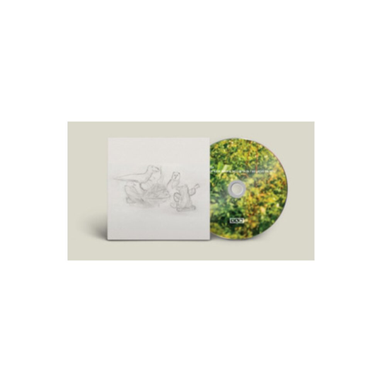 DRAGON NEW WARM MOUNTAIN I BELIEVE IN YOU - BIG THIEF - CD