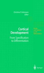 Cortical Development