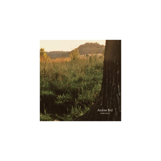 Noble Beast [VINYL]