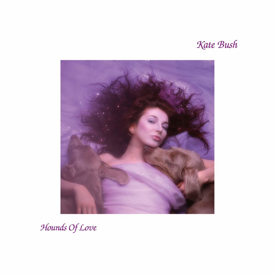 Hounds Of Love (2018 Remaster) [VINYL]