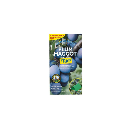 Growing Success Plum Maggot Monitoring Trap