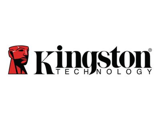 Kingston DDR4 16GB DIMM 288-pin Registered ECC Memory