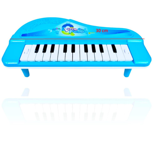 ProTech Organ Piano Keyboard Toy for Kids & Toddlers, Portable Electronic Piano for Educational Musical Instrument Toys Lighting Effect - Blue