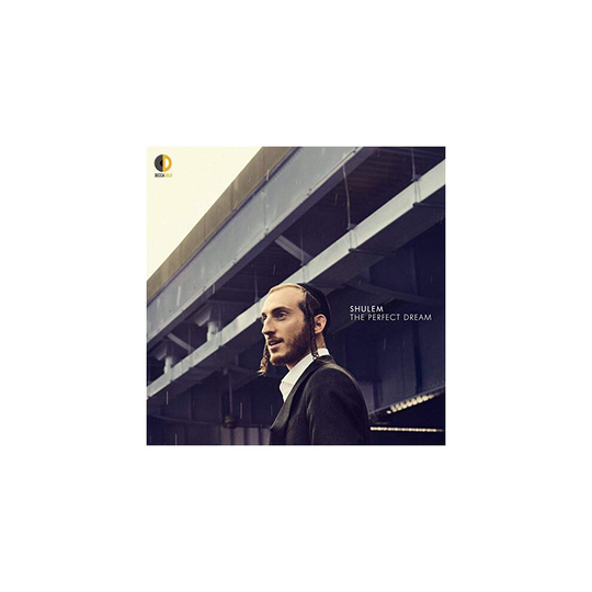 Shulem - The Perfect Dream [CD]