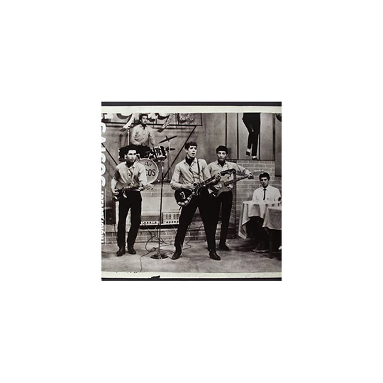 ¡Demolicion! The Complete Recordings - Los Saicos - vinyl