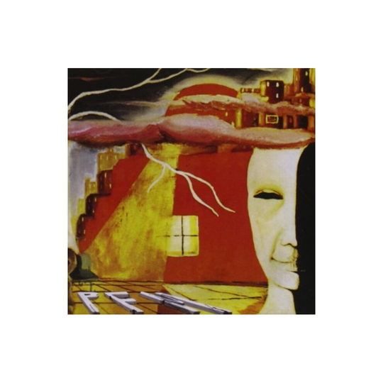 STORIA DI UN MINUTO - PFM - CD