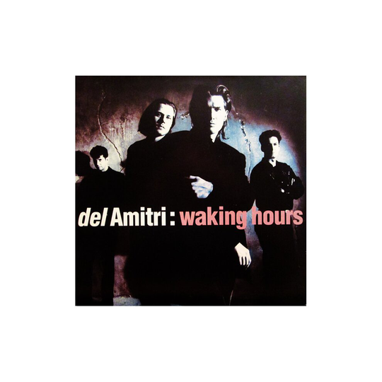 Waking Hours - Del Amitri - vinyl