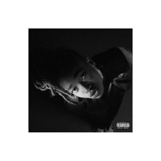 Little Simz >Grey Area >Vinyl