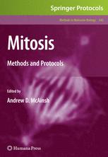 Mitosis