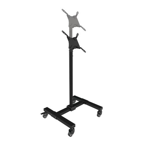 Tripp Lite DMC1342S Mobile TV Stand - Height Adjustable 13 to 42 TVs and Monitors Locking Casters Black