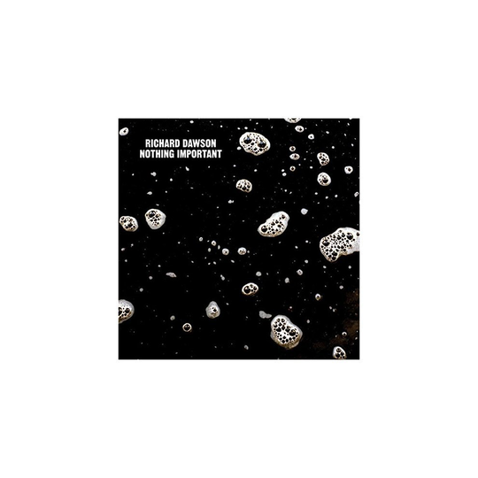 Richard Dawson - Nothing Important [CD]
