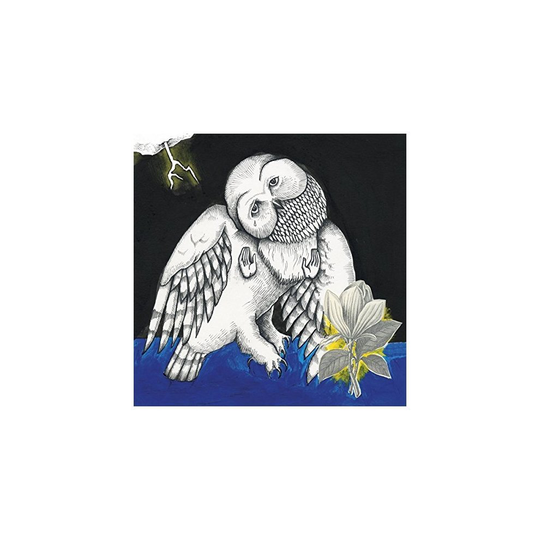 Songs: Ohia - Magnolia Electric Co. - 10 Year Anniversary Edition [VINYL]