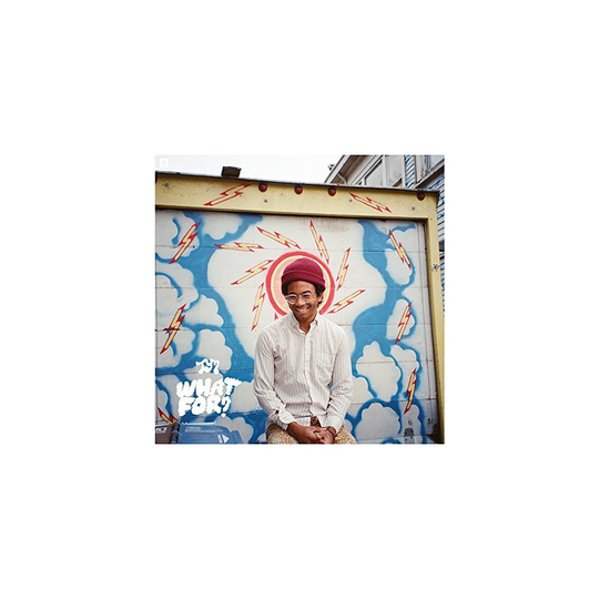 Toro Y Moi - What For [VINYL]